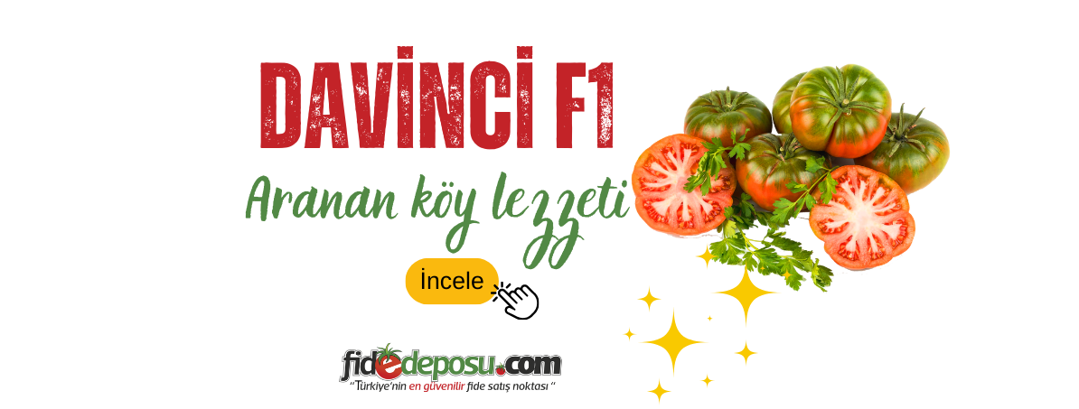Davinci F1